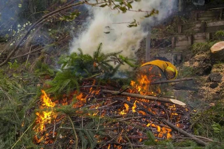 Hacer fuego en el Nahuel Huapi puede costar hasta $2 millones: refuerzan controles por riesgo extremo de incendios image image 21 1