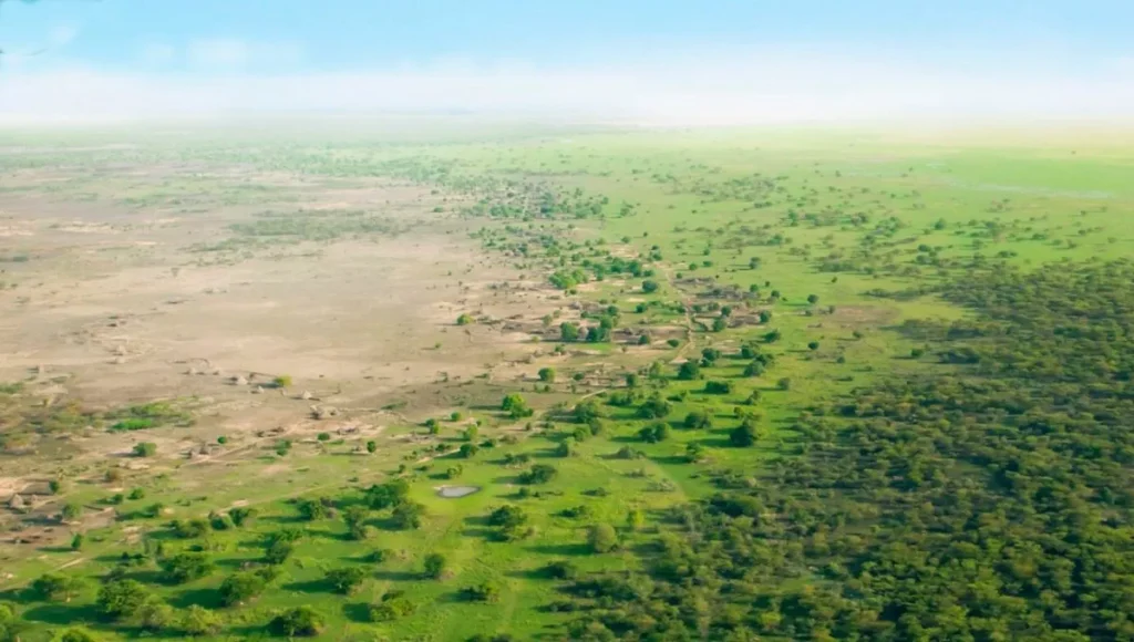 image la gran muralla verde 2