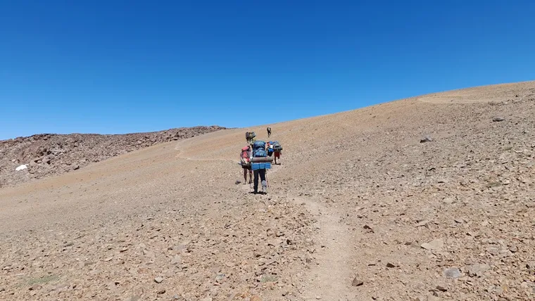 sendero-cordillera-los-andes-conicet-idevea-1