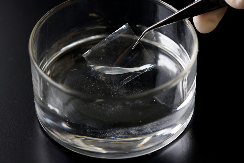 image 2TR22T5MPRBRHNPZAAQGO7227U