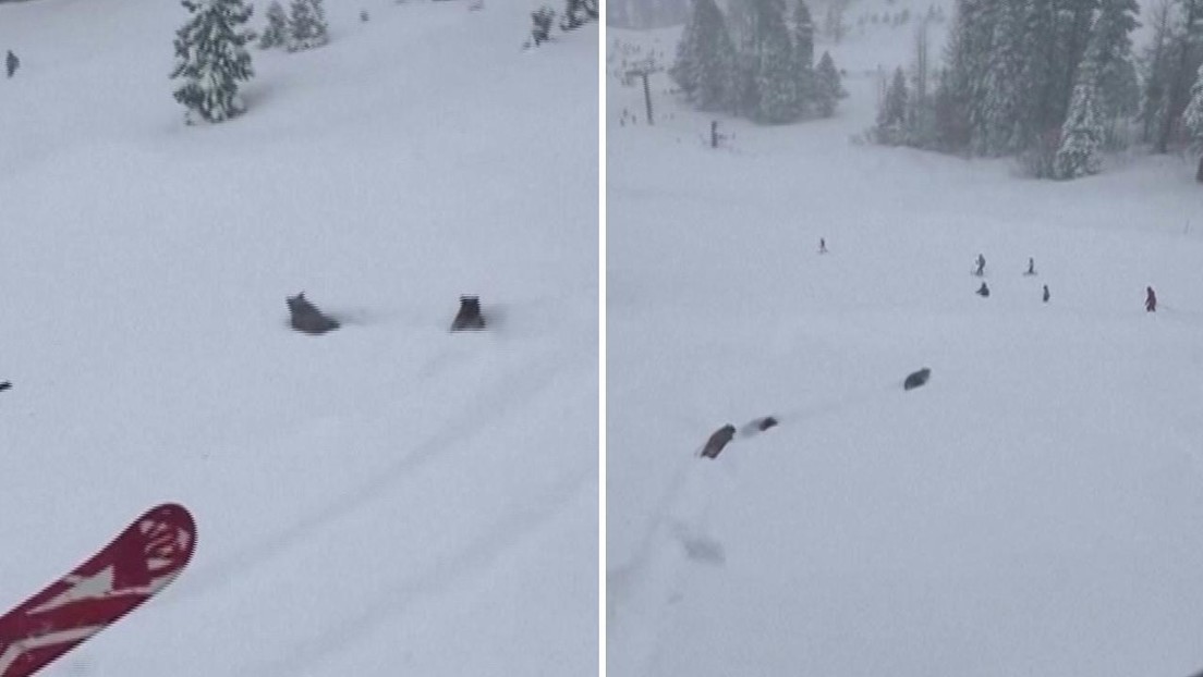 69998bb159bf5b2ed14e42a8