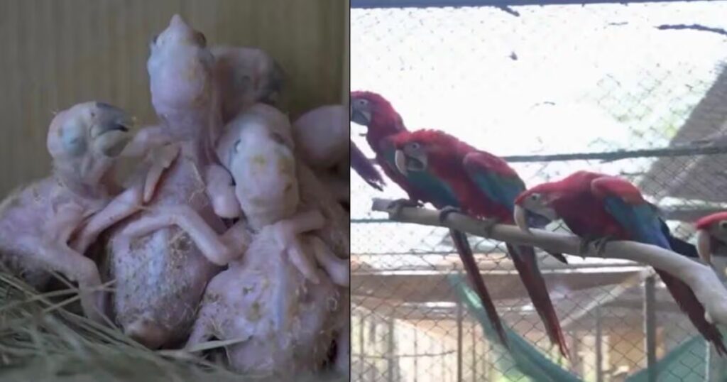 image ARZJV3RIFNHQNIMKV5DEEOUUQQ