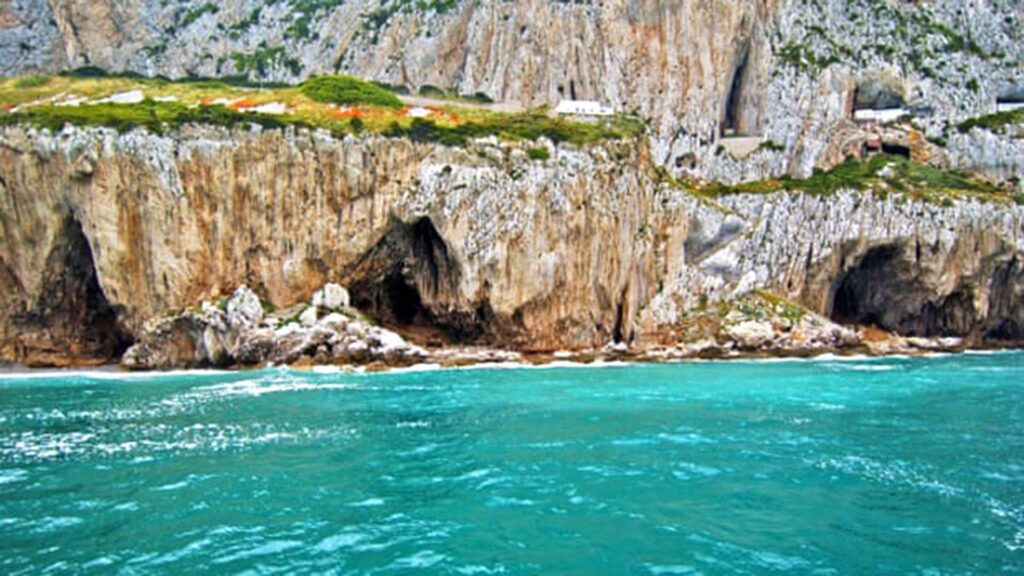 image CALX26LZY5GZZPO7FCJUIWSFNU