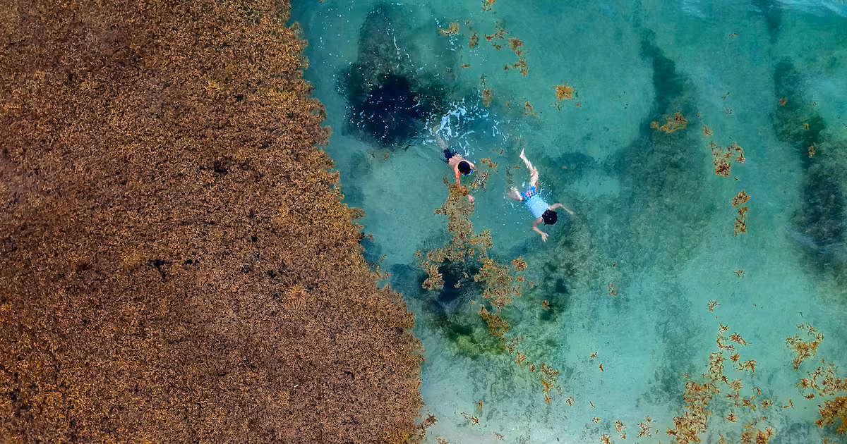 D2M6HM4Q7FHZTEJEXGUUPNYTOA