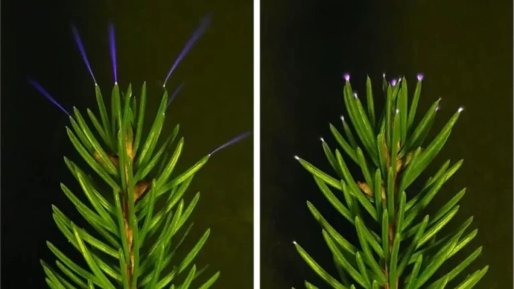 image Diseno sin titulo 2026 02 26T171659.464 1200x675 2