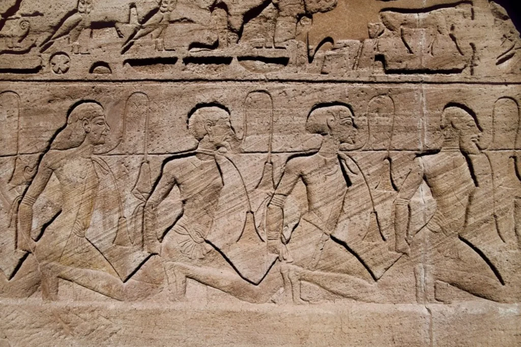 image Diseno sin titulo 29 3