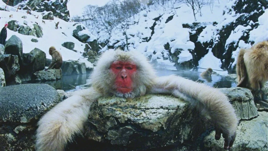 image Diseno sin titulo 50 5 1200x675 1