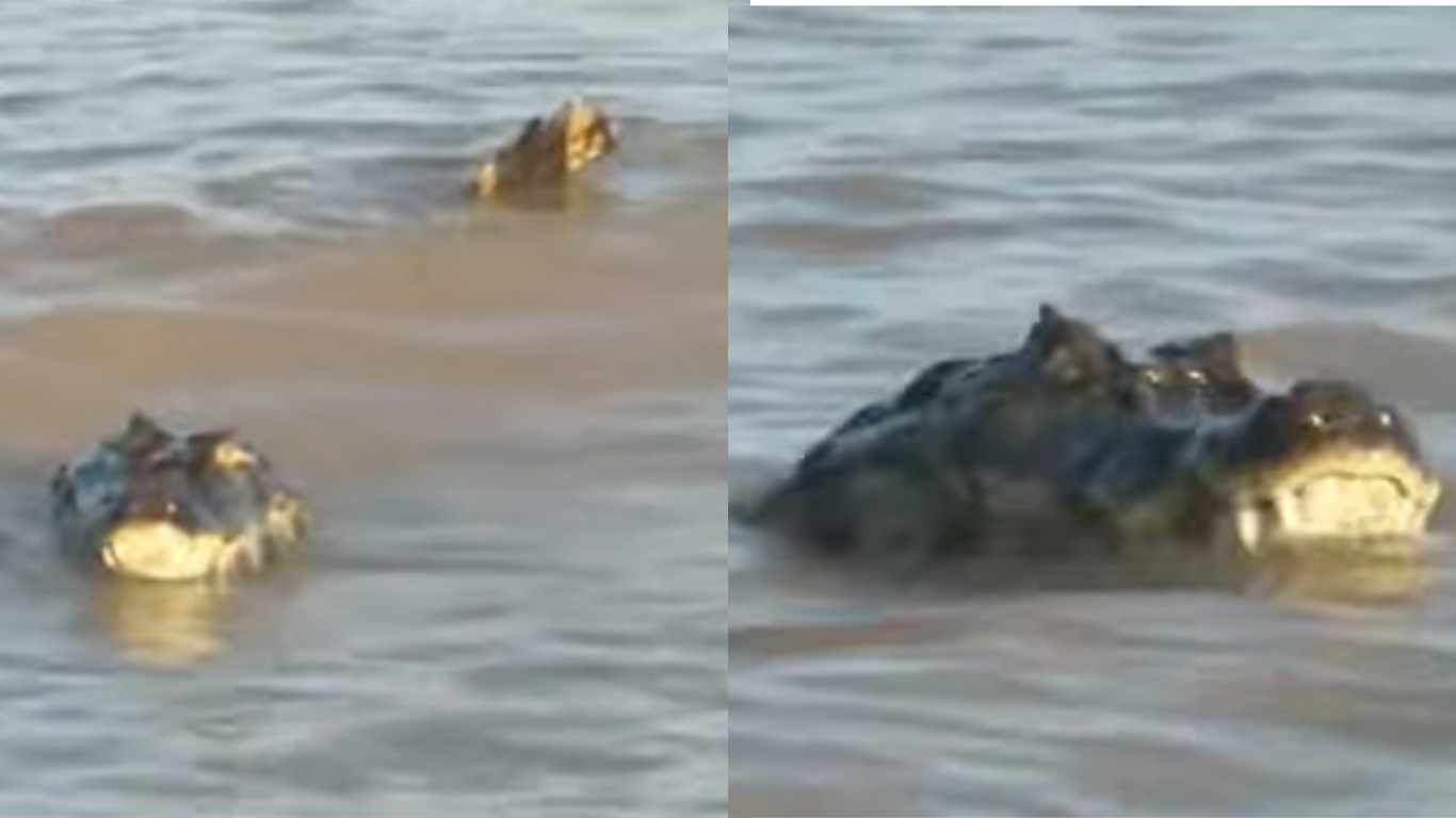 Diseno-sin-titulo-57-6994f691e0f03