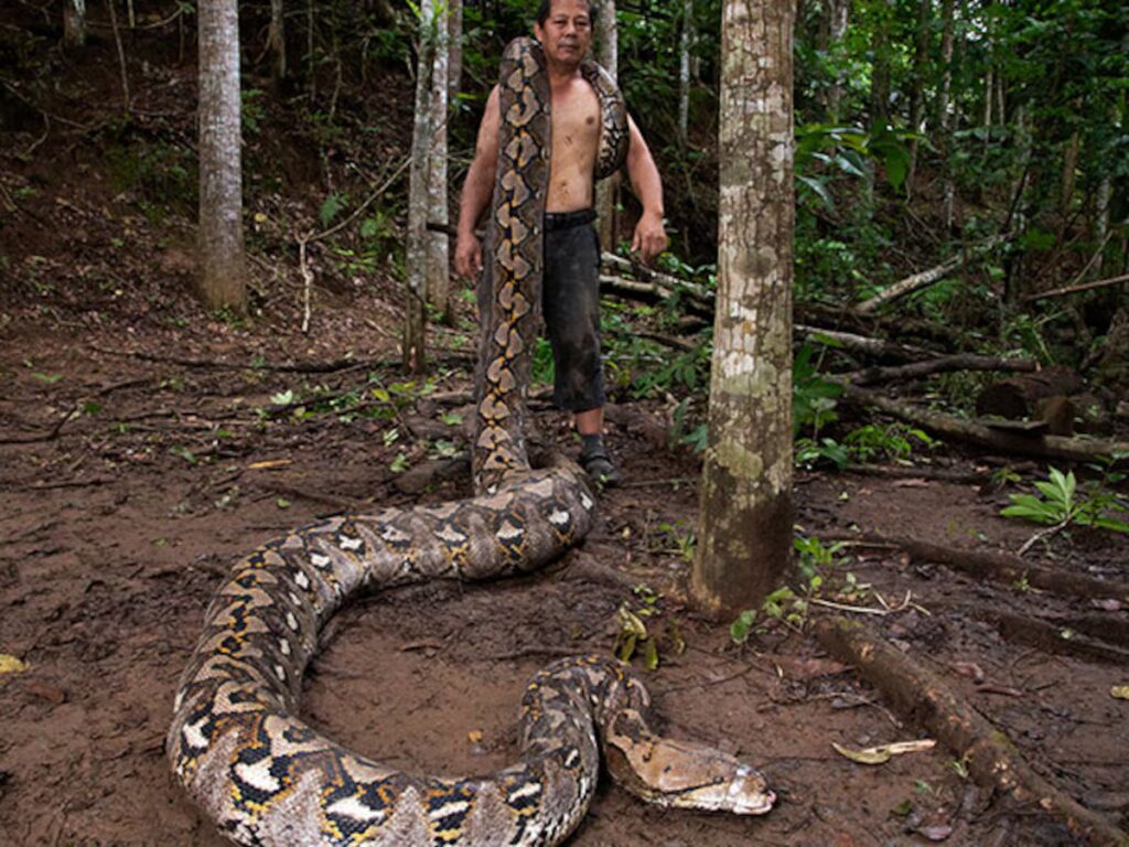 image K36PFYNAFNHRBG367XE3UGPC5E