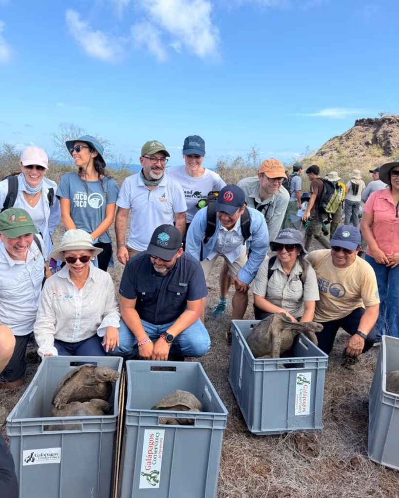 Tras más de un siglo, una isla de Galápagos recupera sus tortugas gigantes y reactiva procesos ecológicos clave image KMWV633TYFBFBNBQ7DD4IBEW34