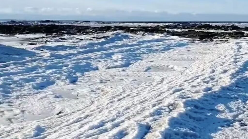 image NLE4ZKRHMRDVTL5OAII5V7E5YQ