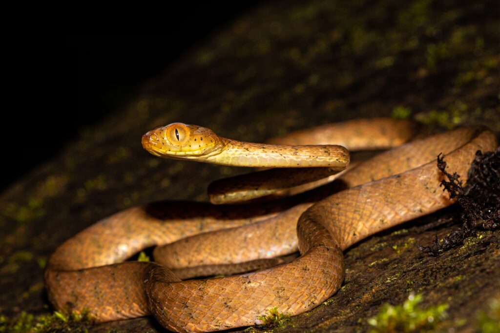 image O6TPK3ZNYZGCPMWW76ZQ2OUCGA 1