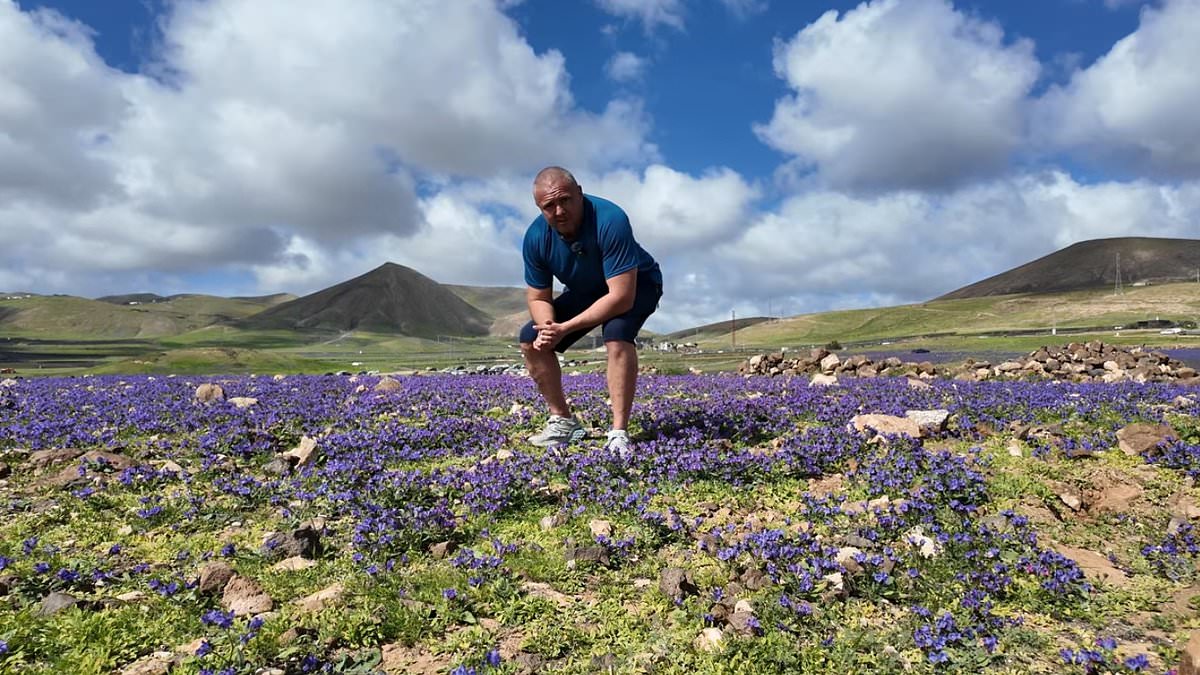 Paisaje-volcanico-de-Lanzarote-se-vuelve-verde-tras-lluvias-2026-intriper.jpg