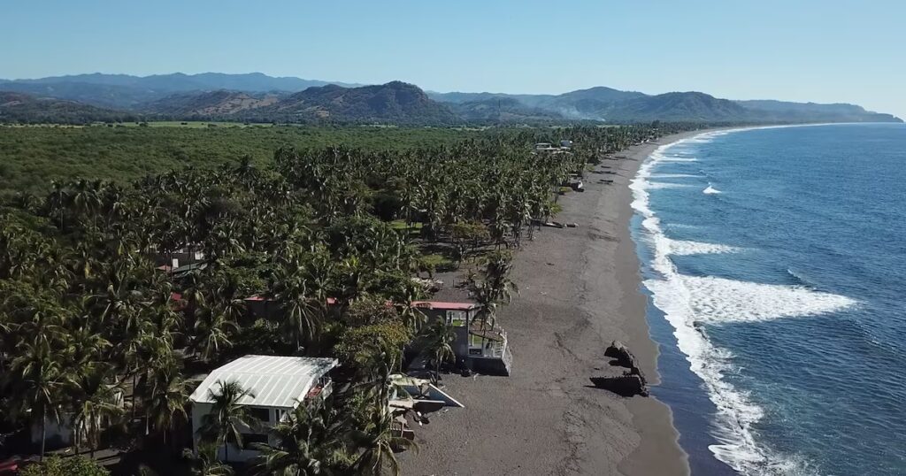 image SSCARHNIAFH6PO5KBQ3BM2G74M 1