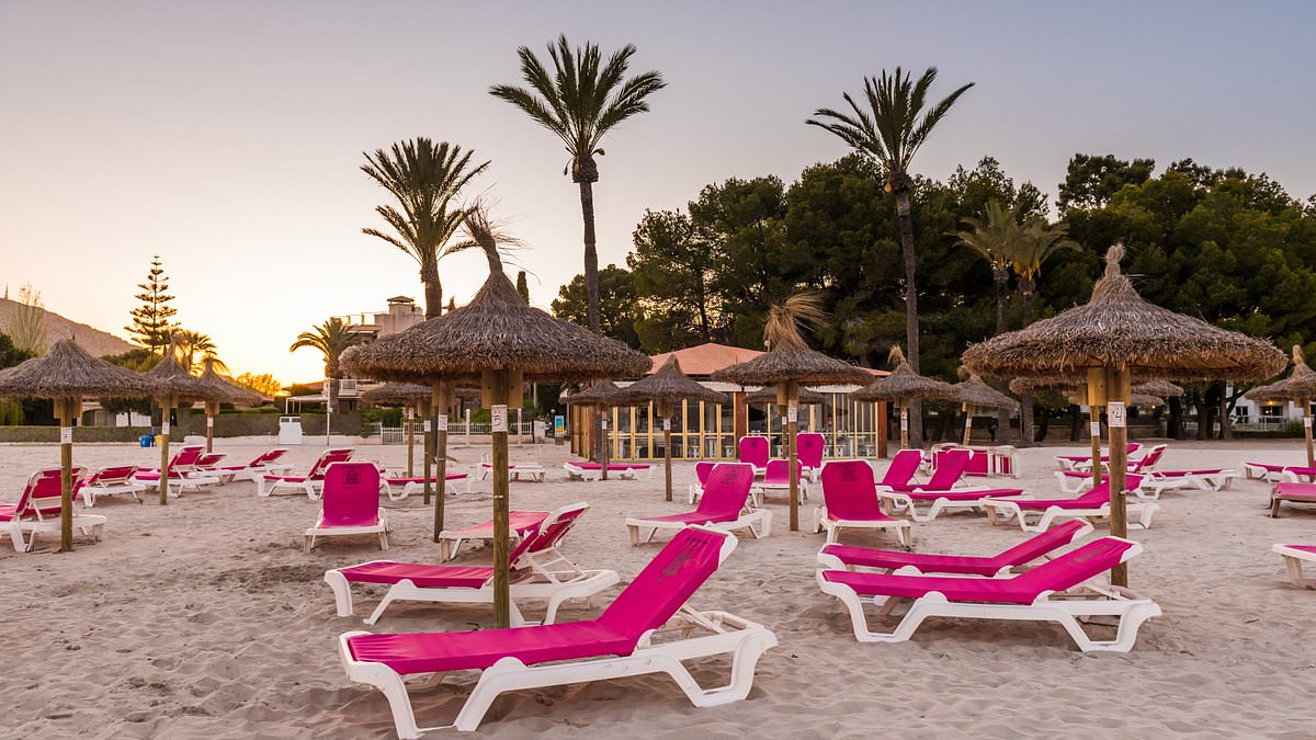 Tarifas-de-verano-en-Mallorca-Sunbeds-a-60-diarios-intriper.jpg