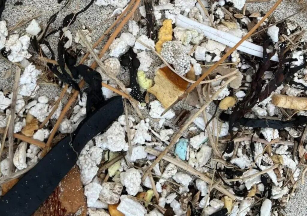 Plástico de los años 60 proveniente de Canadá aparece en playa de Escocia image draft plastic from 1960s canada washes up on scottish beach 1771597071338 1280