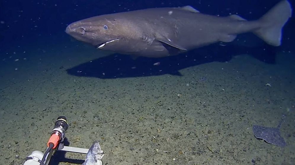 f.elconfidencial.com_original_eb1_dbe_db5_eb1dbedb50bc563e93eb73ca2ef79993 f.elconfidencial.com_original_eb1_dbe_db5_eb1dbedb50bc563e93eb73ca2ef79993