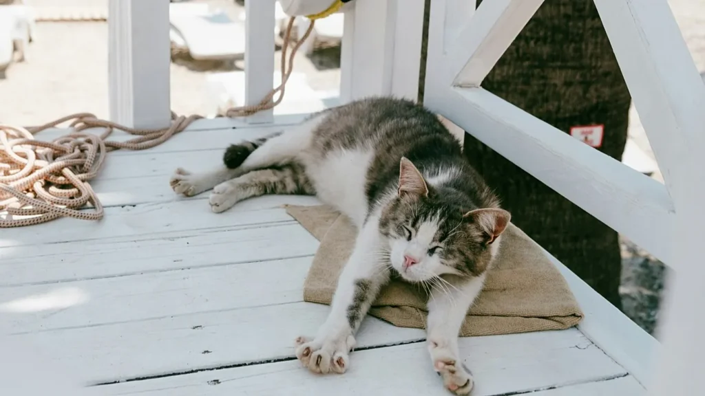 image 1366x768 cmsv2 aabed41b 4550 5f4b bc10 127cdaf7a1a4 9699206