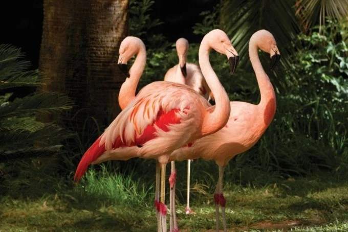 image 1772835348442 img ee4e4c10