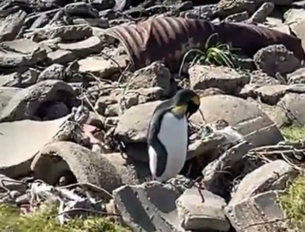 59c0bbbba432236bbd24da94235e9e3c