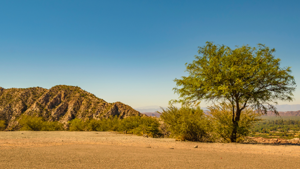 San Juan Qué hacer en San Juan, Argentina: 20 lugares imperdibles para visitar image San Juan 7