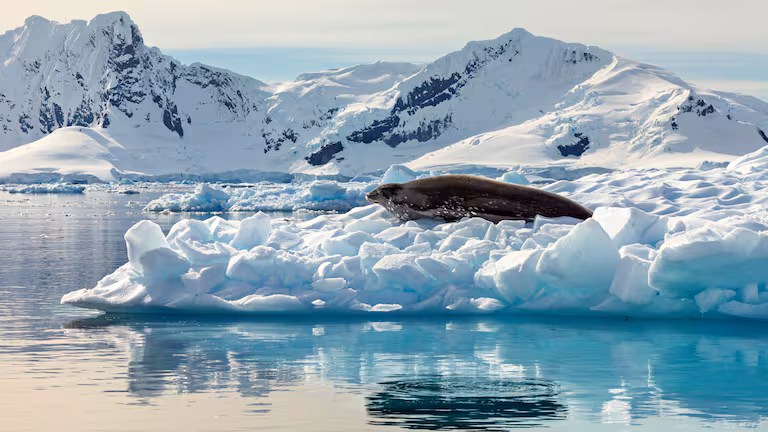 Hallazgo en la Antártida: descubren que lagos de agua dulce están conectados con el océano bajo tierra image 7SQC6W2KBRCZXE2QY7TVEPDKCI