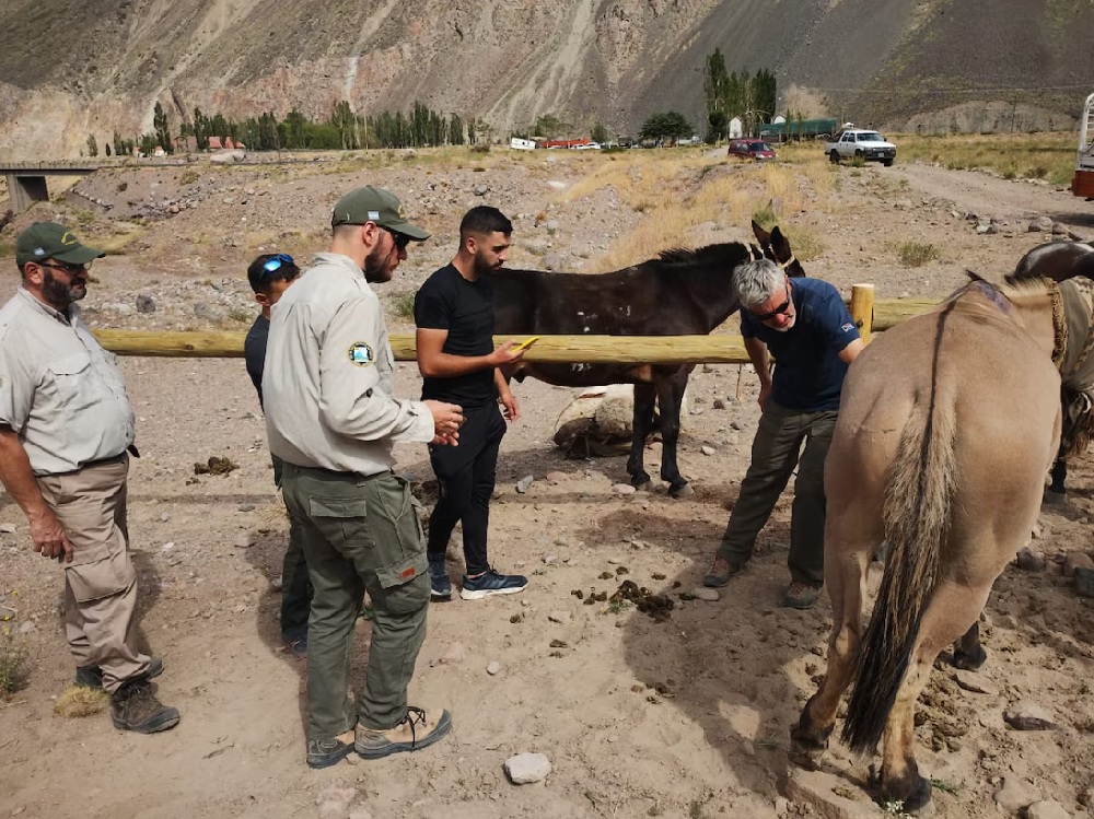 image 9a78b32fdc478ea981bec80d264827b2