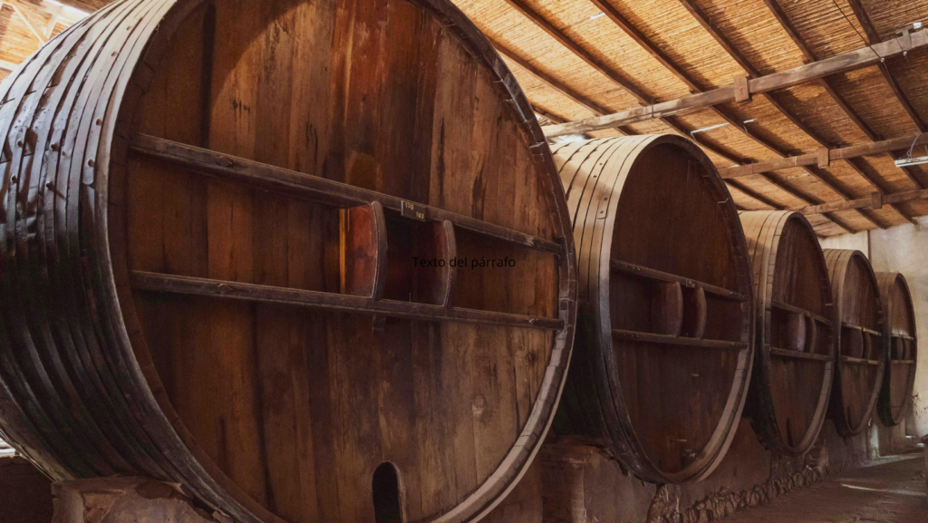 San Juan Qué hacer en San Juan, Argentina: 20 lugares imperdibles para visitar image San Juan Barranquilla Carnaval 1