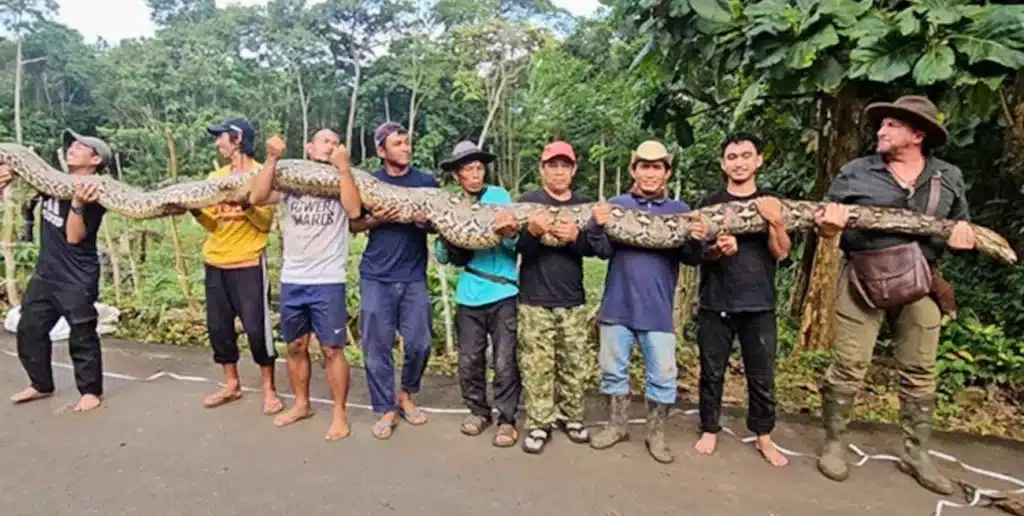 image CISy7Juee 1300x655 1