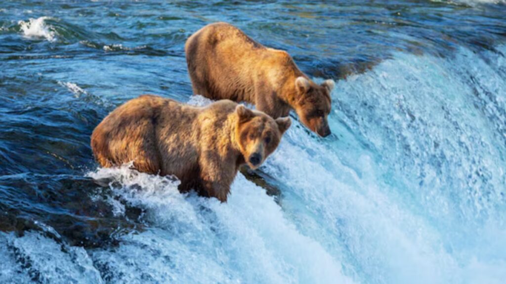 image D5GOHC22RFFKXDM2HTRERPMVNA 1