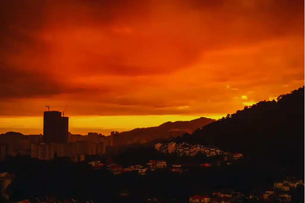 image Diseno sin titulo 54 6