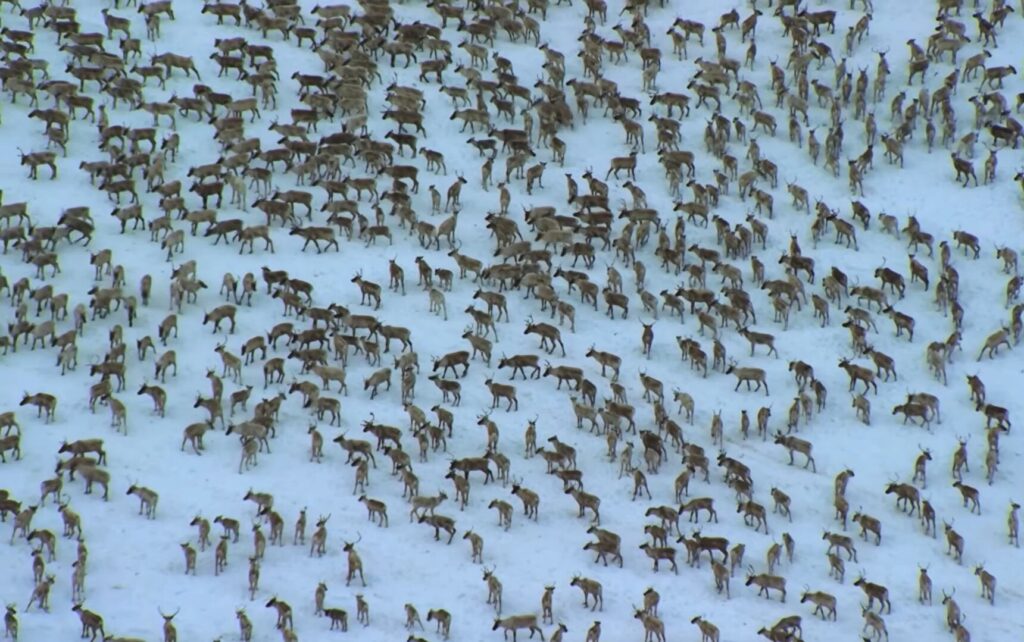 image E3E3MXPBSVDRTJQEBKIWV6B5H4