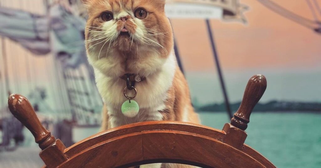 image E4vwoSXCe 1200x630 1