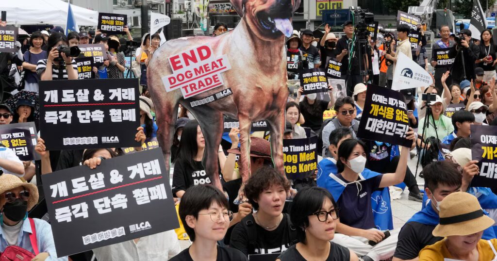 image FLTR5ABFBQEHHPQYQNWLG7SN24