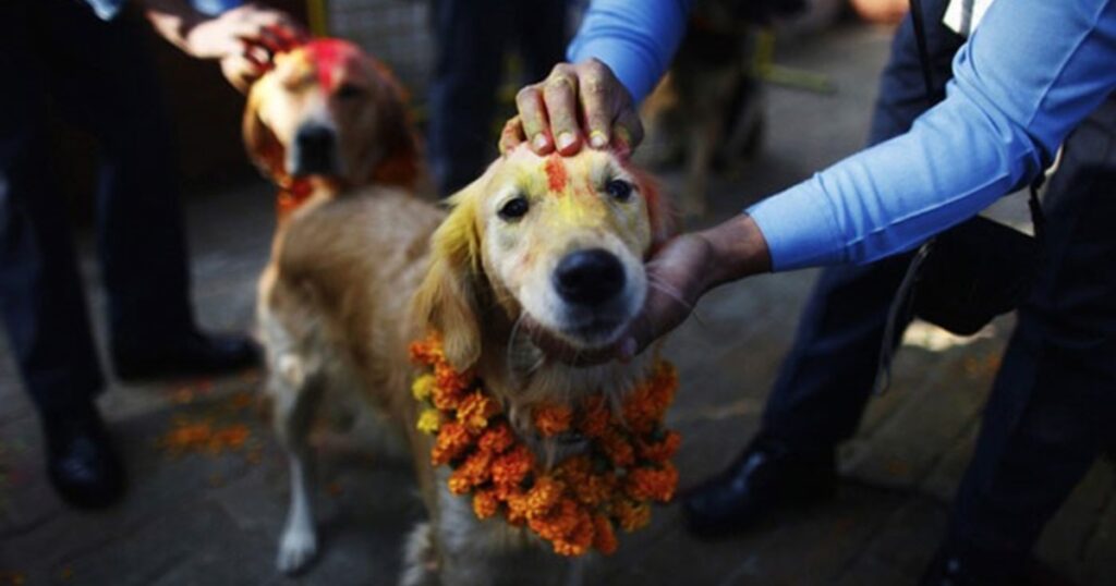 image MajKZVg5L 1200x630 1