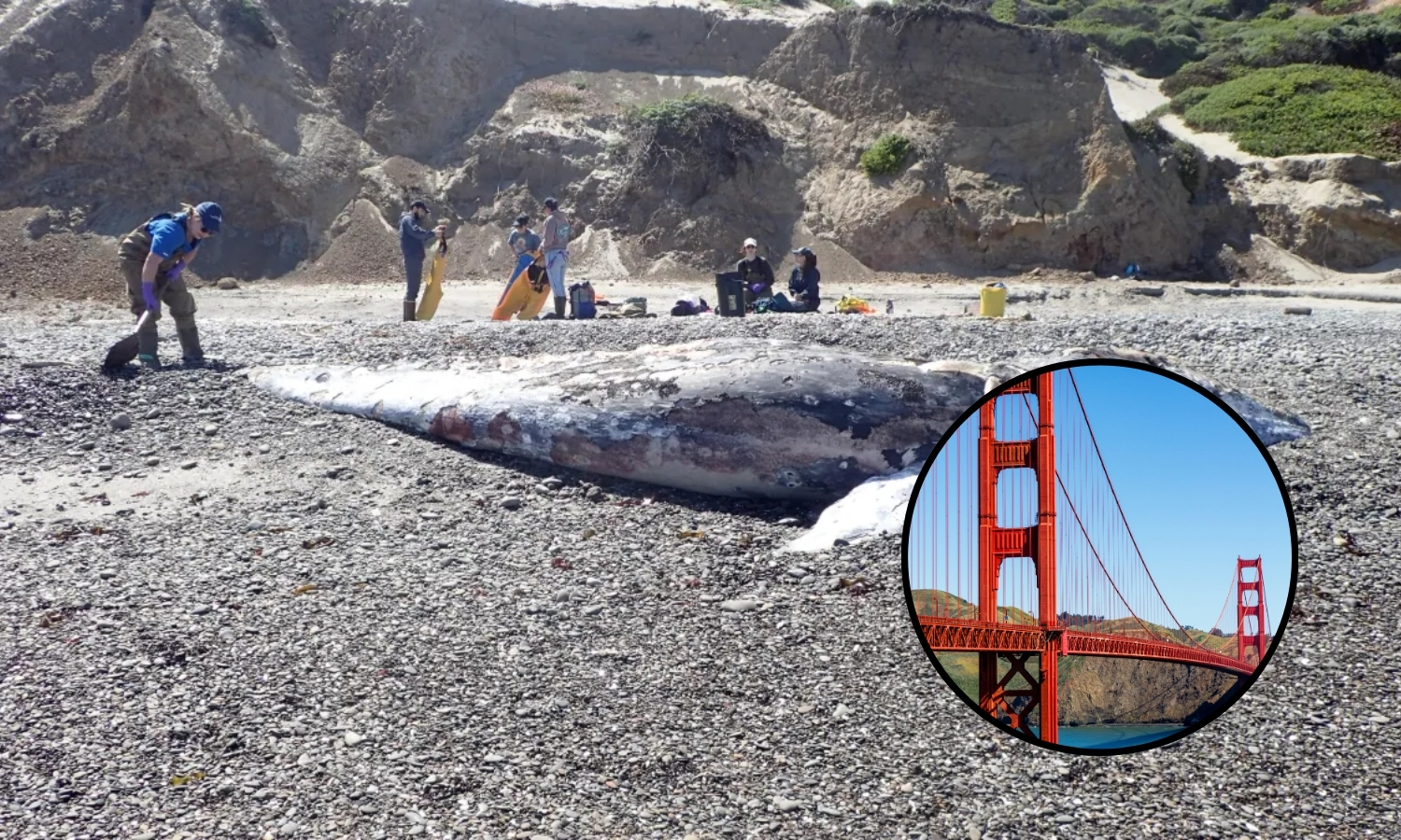 Portadas Mexi Portadas Mexi