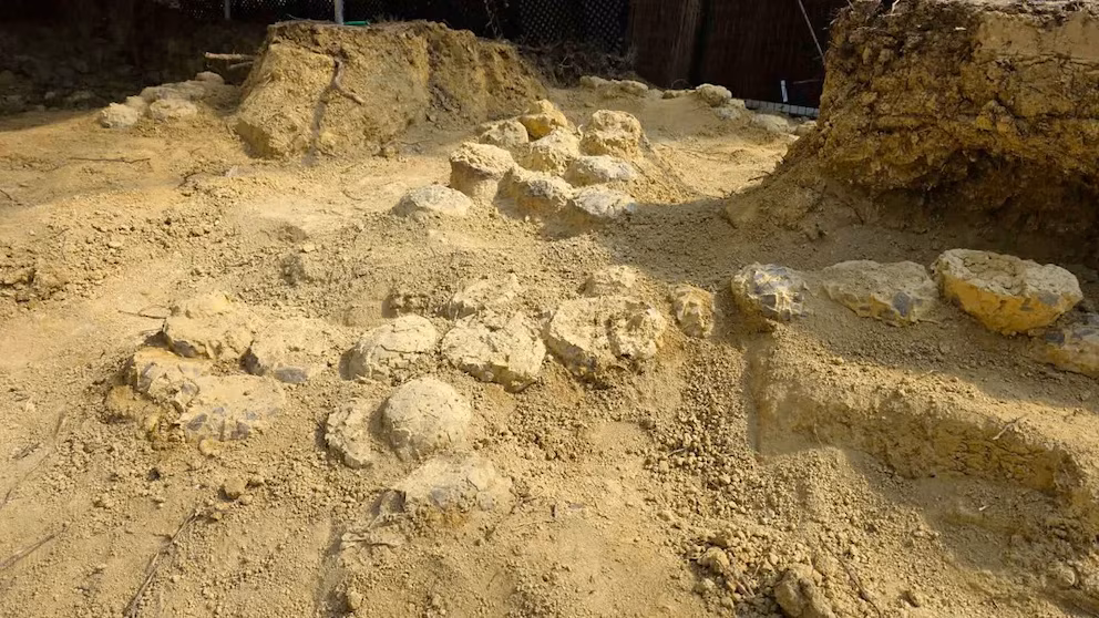 image SBYO3VBCLNDO7GJRCFUHMDXGGE