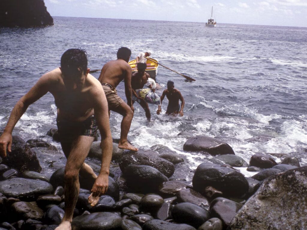 image T4BOHB5HCZFMZDH3P74JO5MBP4