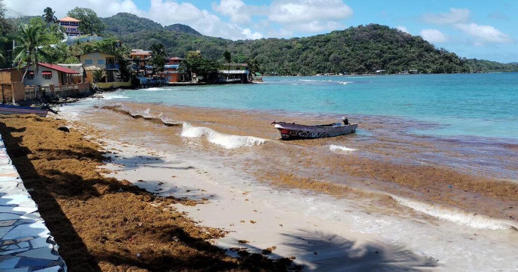 image VVMVCA4S2JD3JL7K7KQ2LLECD4