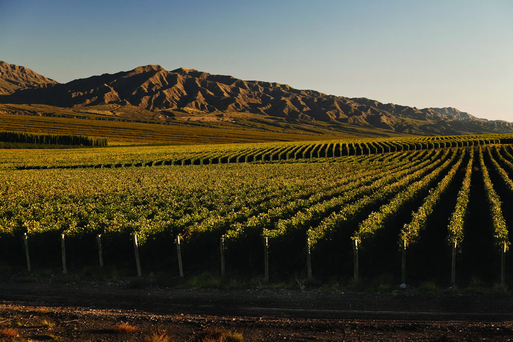 San Juan Qué hacer en San Juan, Argentina: 20 lugares imperdibles para visitar image San Juan ViedosdePocito