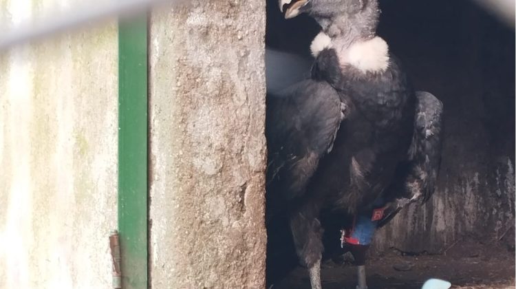 WhatsApp-Image-2026-03-13-at-2.04.49-PM-750×420 WhatsApp-Image-2026-03-13-at-2.04.49-PM-750x420