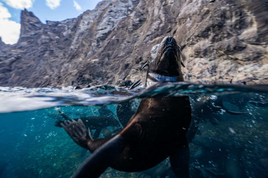 image aguasprotegidaschile max bello 2