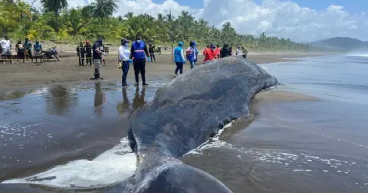 bKbt9je3y_1200x630__1