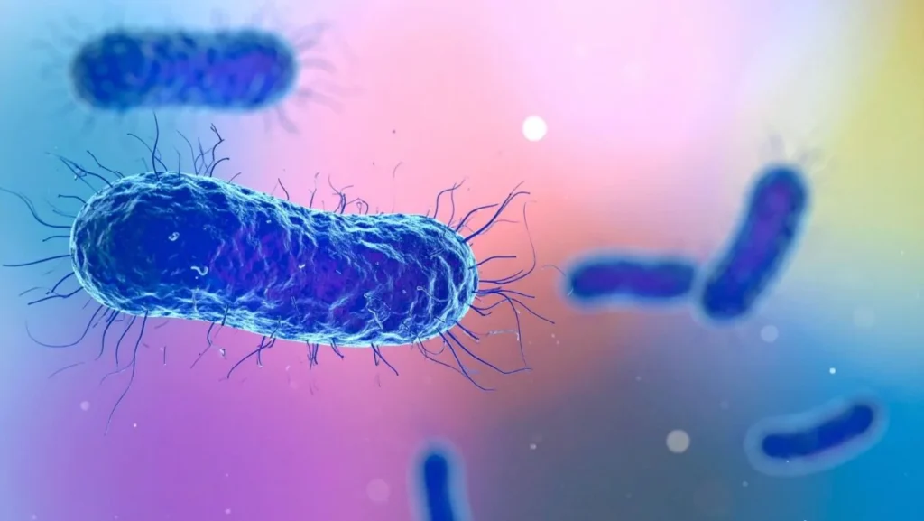 image bacteria congelada ha 5 mil anos resistente a antibioticos 1260x710 1