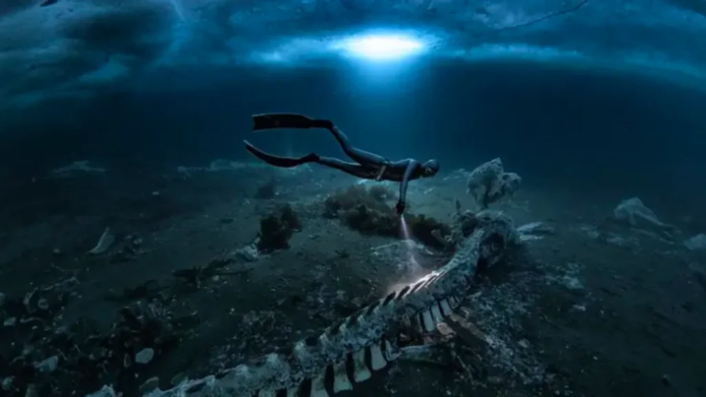 image captura de pantalla 2026 03 17 a la s 08 48 22.png 435293619