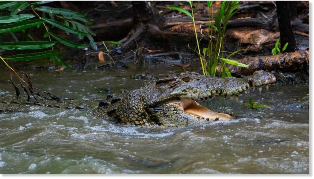 image dca69a7e9d948dc1eb828dd08193be