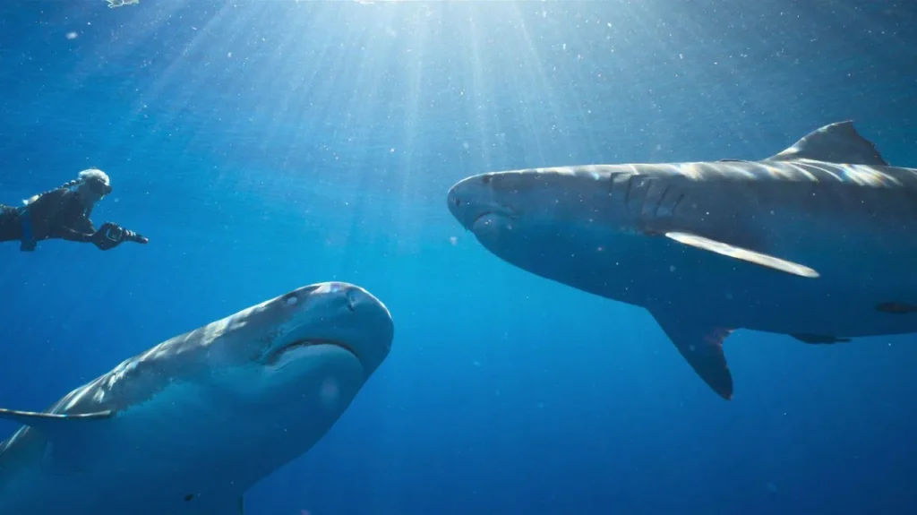 image j 20260324 094548000