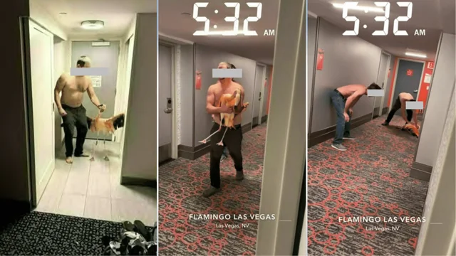 las-vegas-police-tourist-stole-injured-flamingo-at-iconic-v0-yf24ebeTzuKEw5qyd0tfUg0N5rP-7YilzCpHTxtP0RY