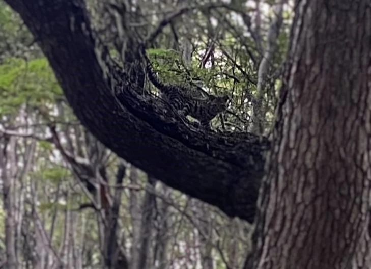 multimedia.normal.bbba9761719ca9cd.bm9ybWFsLndlYnA= multimedia.normal.bbba9761719ca9cd.bm9ybWFsLndlYnA=