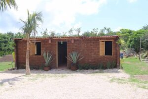 image reforestar el amazonas omarvazquezsanchez mexicano patenta bloques de sargazo para el sector de la construccion como solucion a la plaga ciclica 10